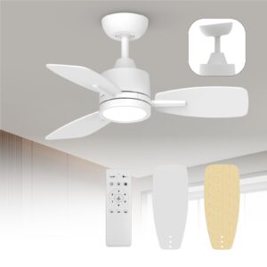 Ventilador de techo con lámpara LED y control - 15W - Blanco